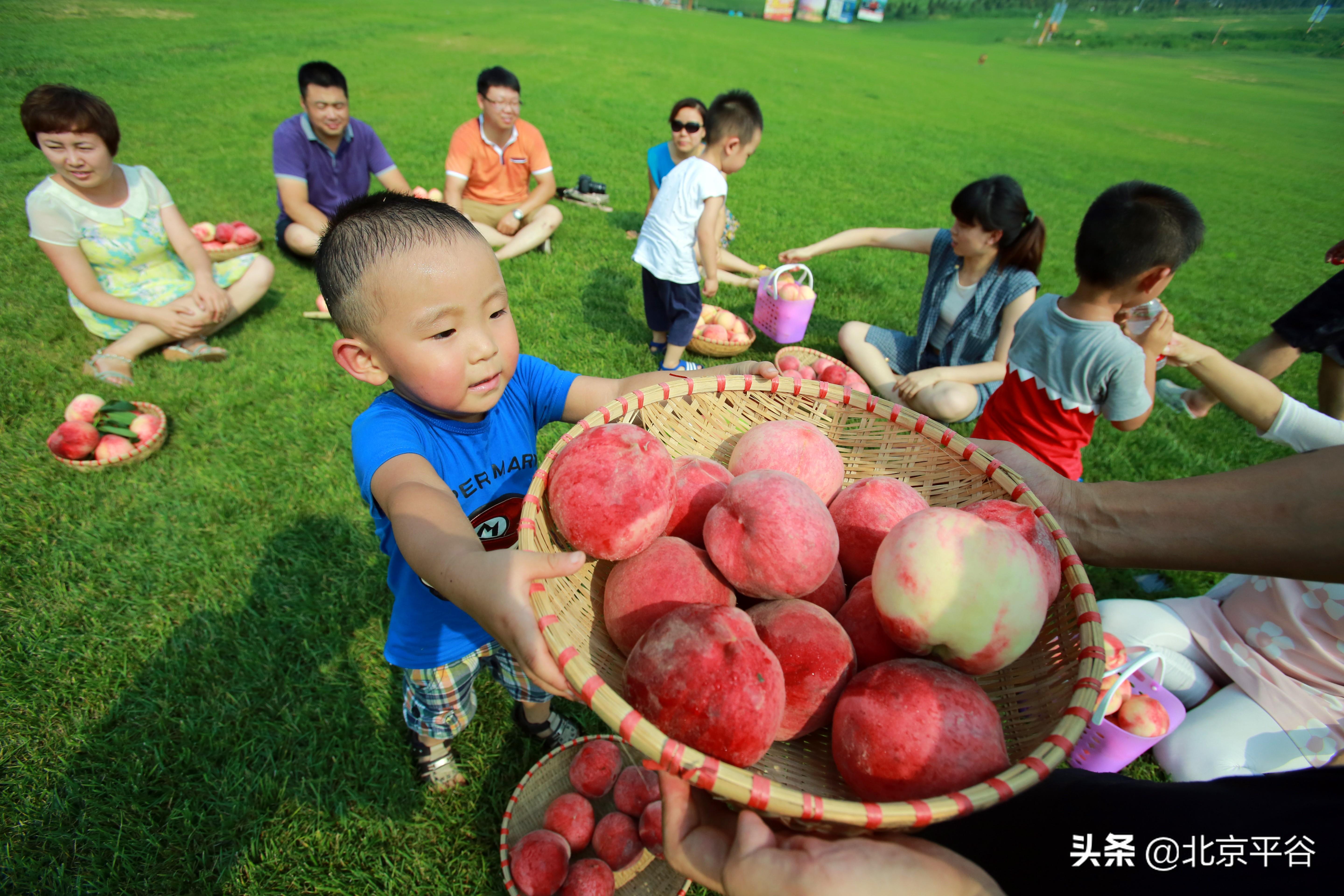 澳门致富一码,属性解答解释落实_Q92.849