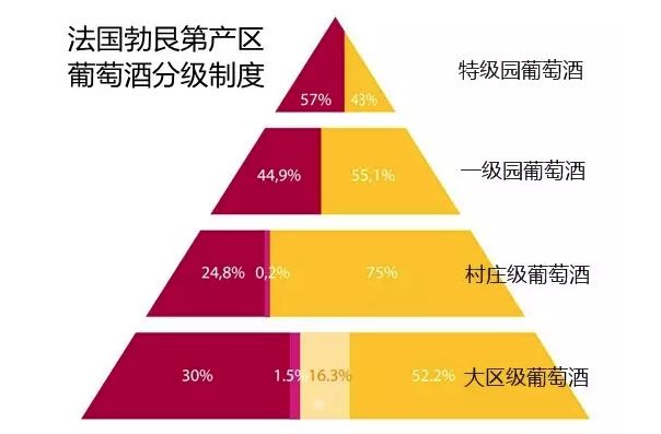 澳门今晚开什么特马,理念解答解释落实_DP25.357