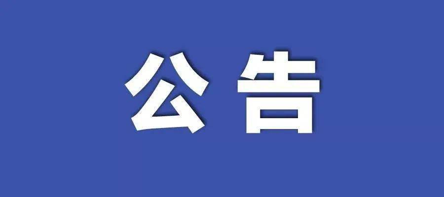 2024年11月20日 第33页